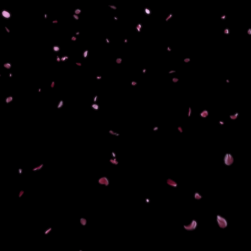 【素材屋 蛇藤】無料映像素材│降り注ぐ薔薇の花びら_a