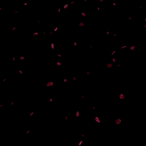 【素材屋 蛇藤】無料映像素材│降り注ぐ薔薇の花びら_b
