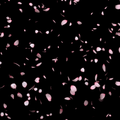 【素材屋 蛇藤】無料映像素材│桜・桜吹雪・桜の花びらが降り注ぐ（大粒）
